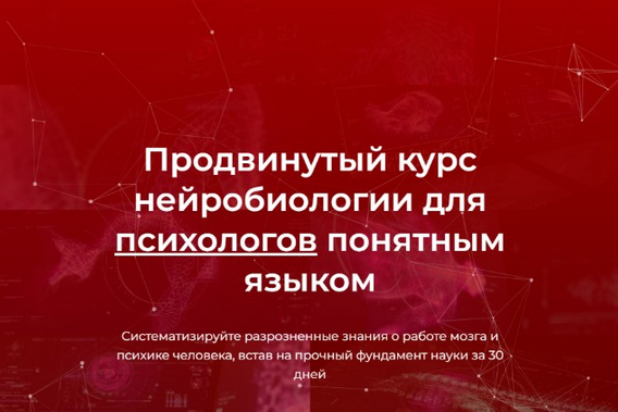 [В. Дубынин, И. Мартынов] Продвинутый курс нейроби_0.png